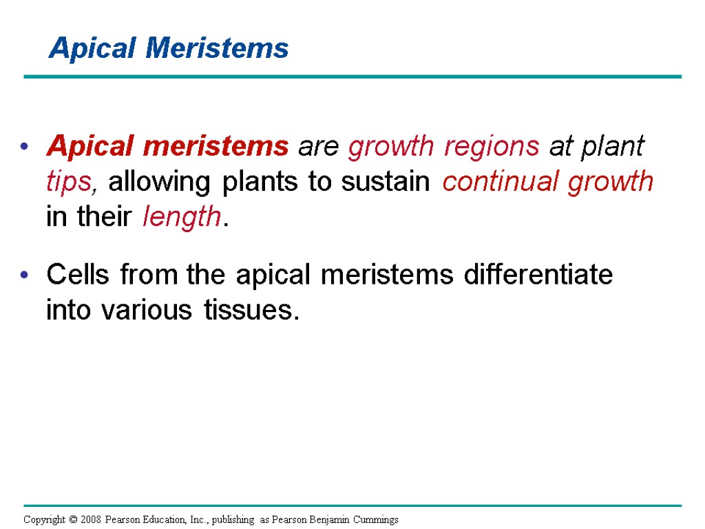 Apical Meristems Apical meristems are growth regions at plant tips, allowing plants to sustain